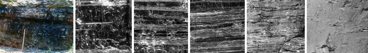 Coal Type Lithotype  banner